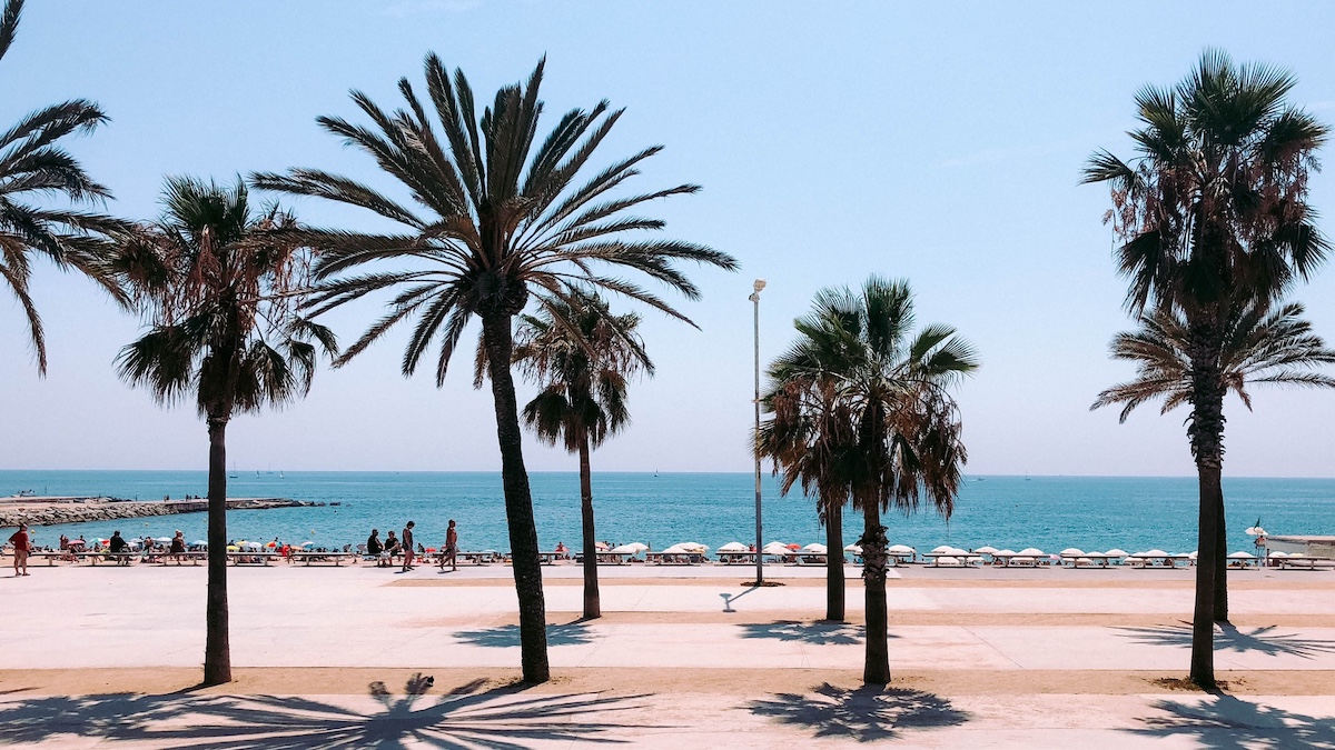 Barceloneta, Barcelona, Strand, Palmer