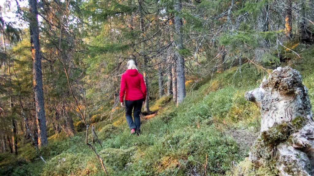 Att vistas i naturen tre eller fyra gånger i veckan kan minska behovet av vissa läkemedel