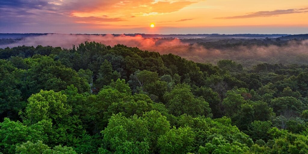 Amazonas regnskogar, eller "världens lungor" är en gigantisk kolsänka som kan användas när länder som Brasilien vill dra av sina utsläpp i ett varmare klimat.