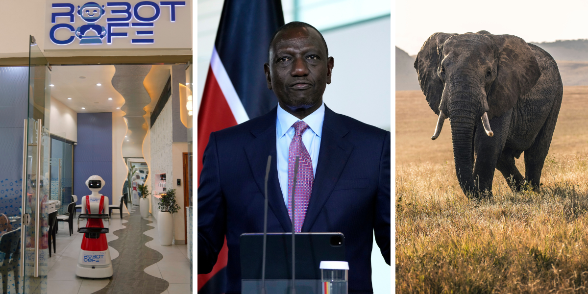 “Silicon Savannah” – så kan Kenya dra ifrån