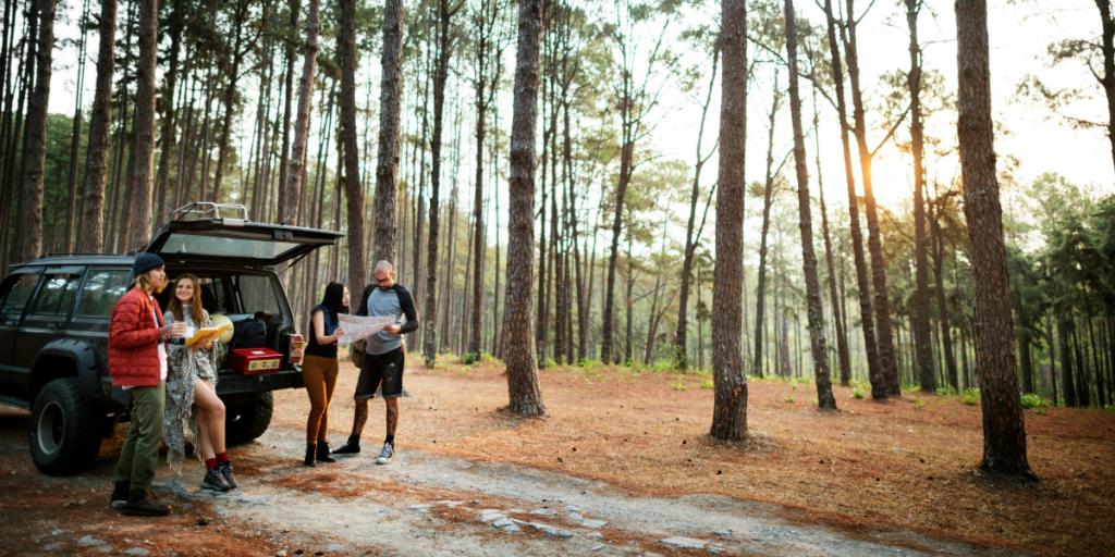 Roadtrips är bland det bästa som finns, men se upp var du kör. (Foto: Unsplash)