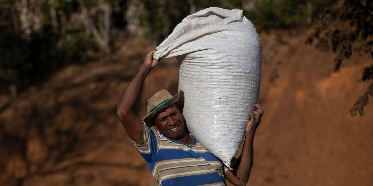 Europeiskt kaffe kan bli framtiden i klimatförändringarnas spår