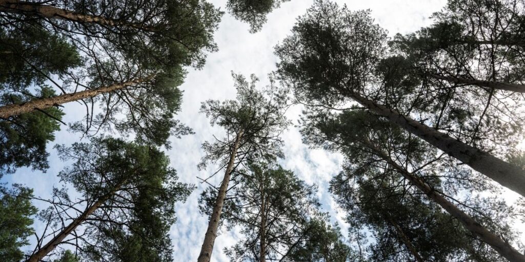 Sanktioner mot Ryssland ger svenska kyrkan rekordutdelning