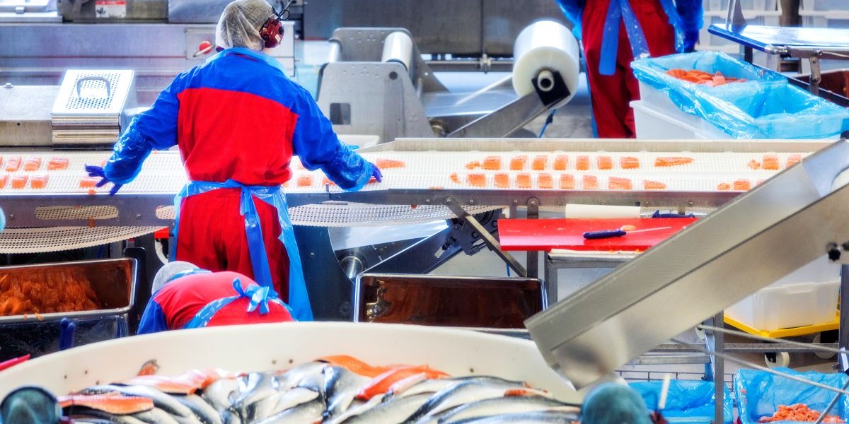 Nytt rekord: Fisk för 85 miljarder