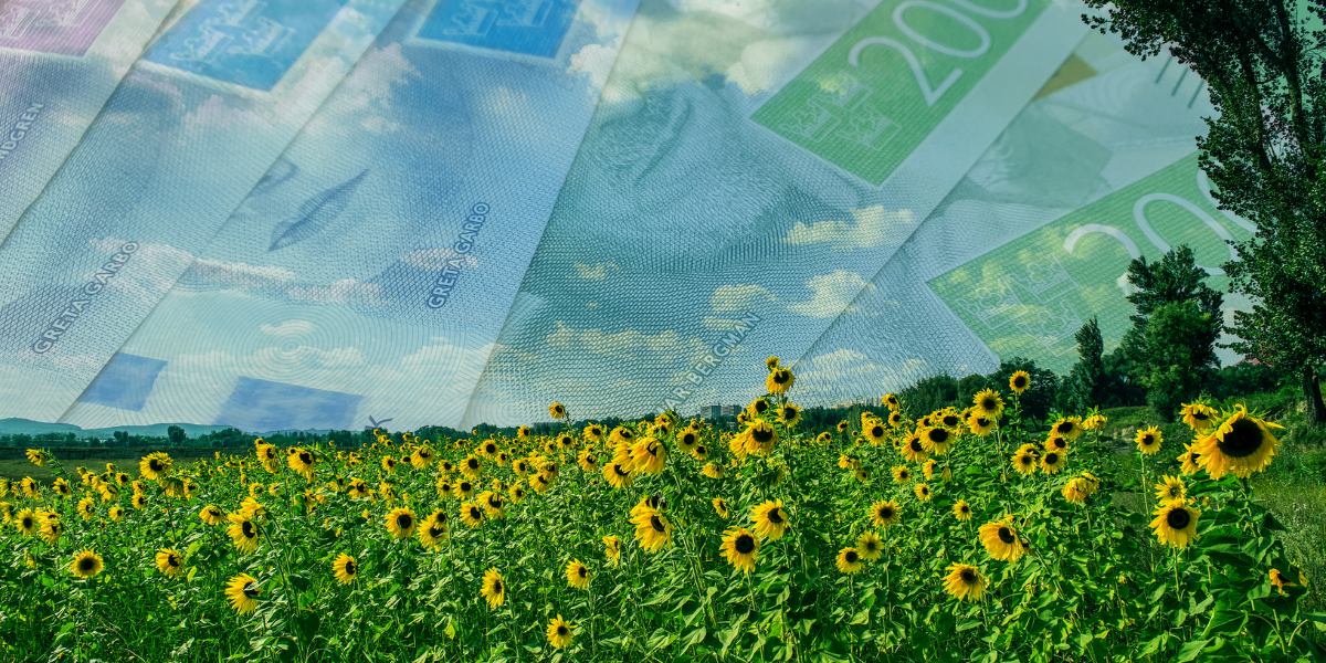 SCB: Så mycket ökade priserna i juli