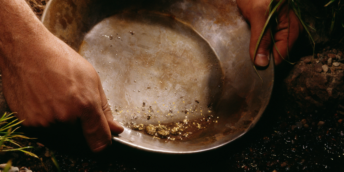 Varnar för guldfeber: “Den är äkta”