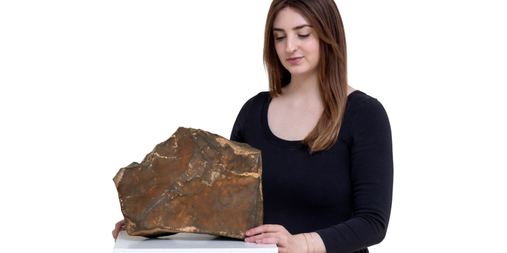 NWA 16788, en unik Marsmeteorit, är nu i privat ägo. (Foto: Sotheby's)