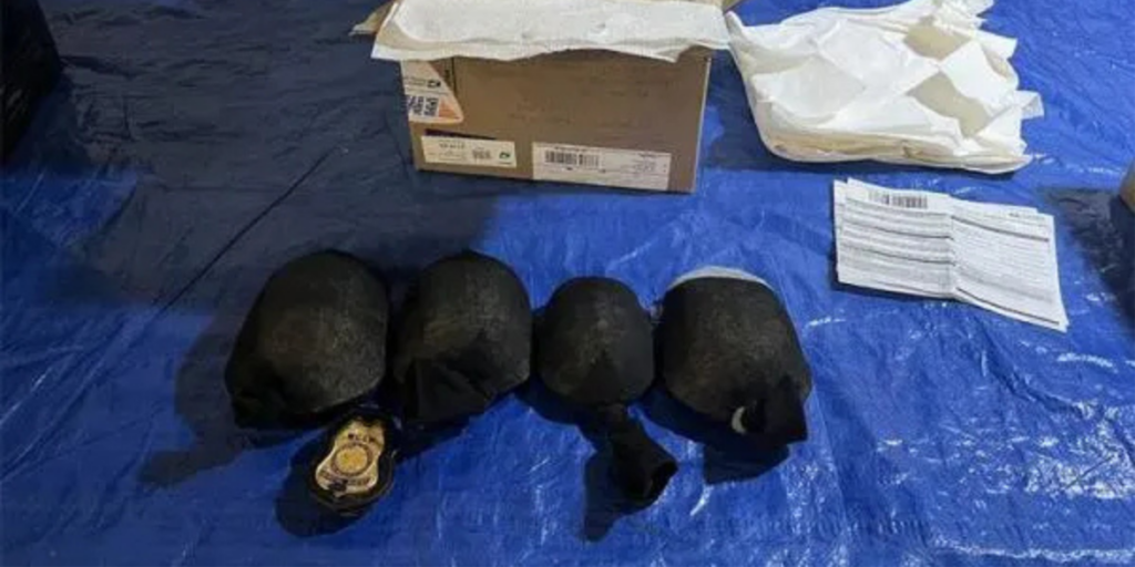 Sköldpaddorna var intrasslade i knutna strumpor när de upptäcktes av amerikanska myndigheter. (Foto: U.S. Fish and Wildlife Service)