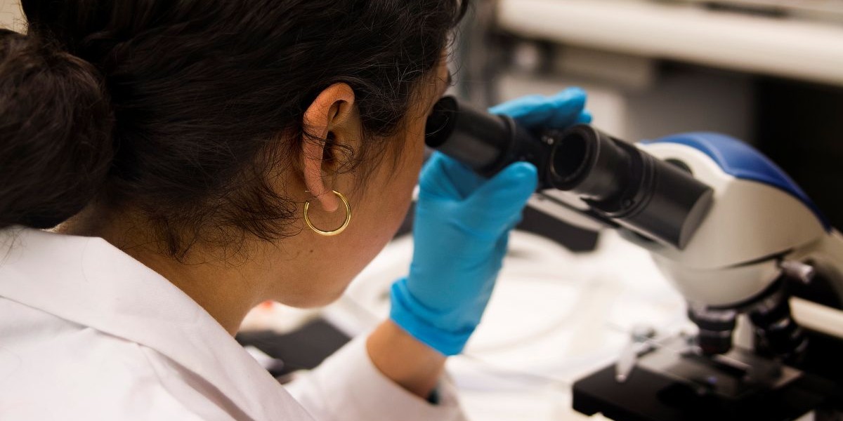 “Regeringen äventyrar forskningen”