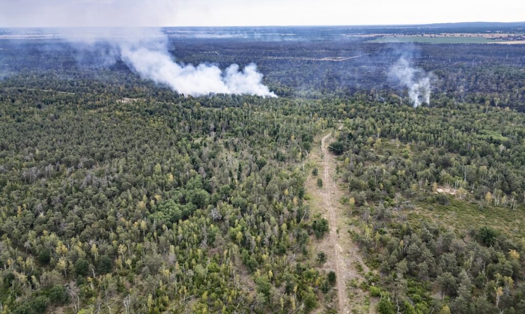 Även längre norrut, som i Tyskland, har det brunnit under sommaren.