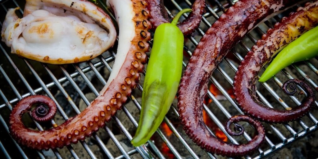 Bläckfisk i haven nära dig inom kort? Arter kommer och går när klimatet värms upp.
