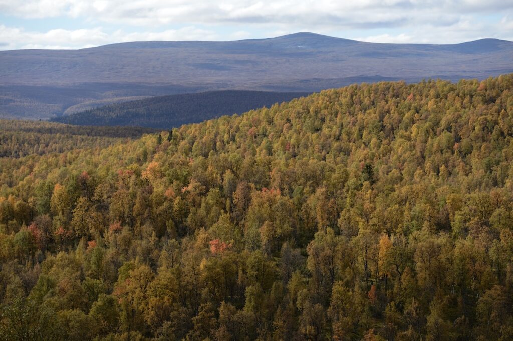 Sverige behöver fördubbla sitt skydd av naturen.