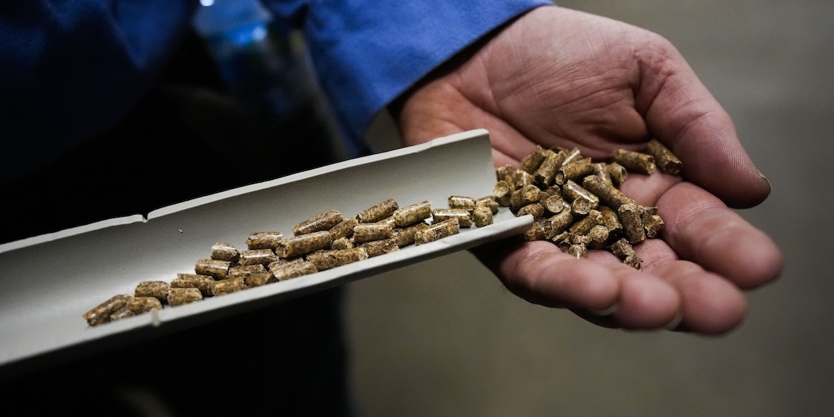 Kraftverksjätte fuskar med träpellets – miljarder i subventioner