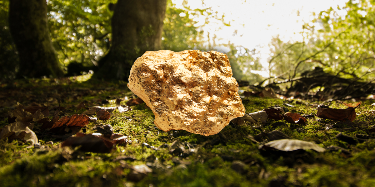 Rekord direkt för nya svenska guldgruvan