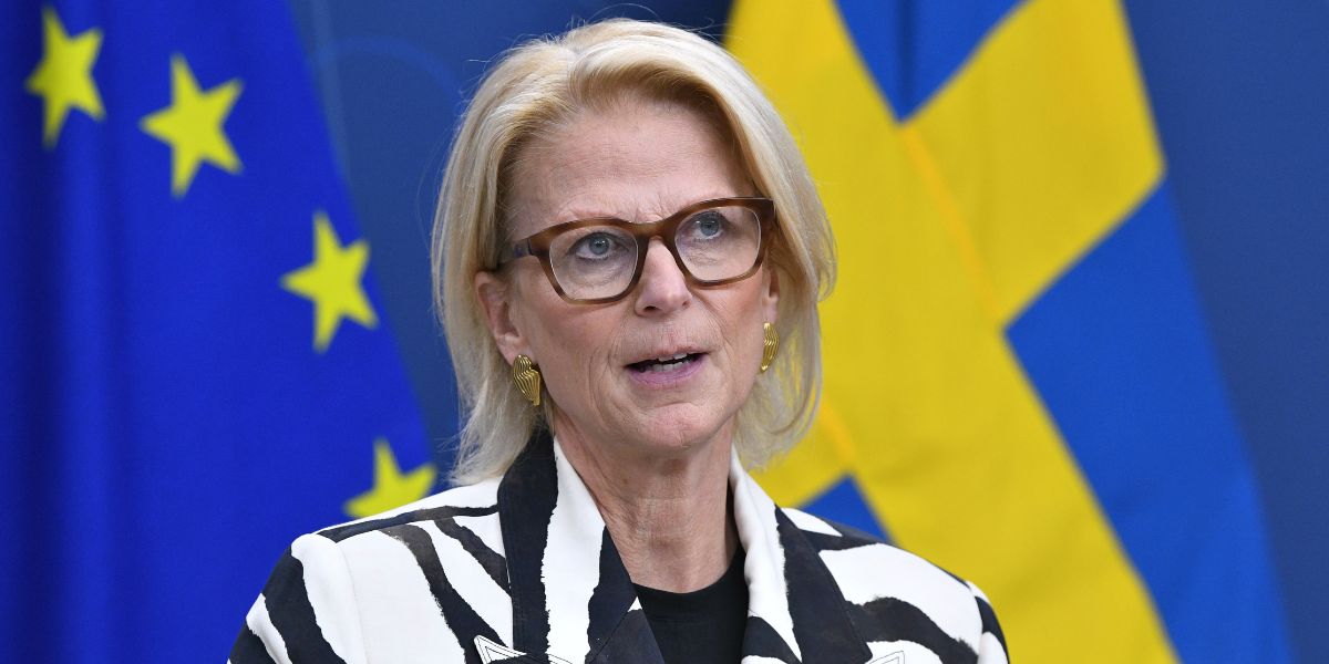 Toppekonom: Svantessons budget är ”självmål”