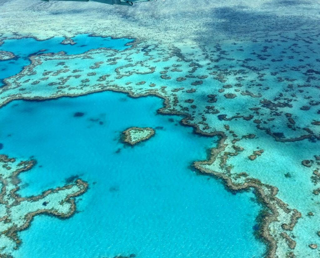 Australiens Stora barriärrevet är världens största rev och viktigt för landets turism.