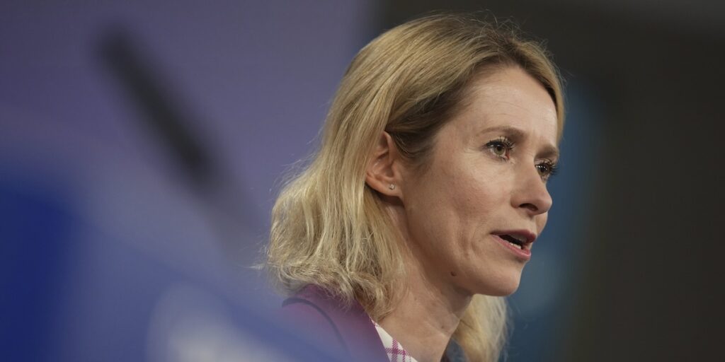 EU:s utrikeschef Kaja Kallas menar att drönarintrånget i Polen inte var ett misstag utan en avsiktlig handling. (Foto: AP Photo/Virginia Mayo/TT)