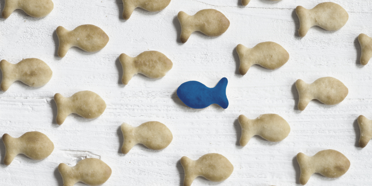 Bryt med flocken – och vinn på börsen