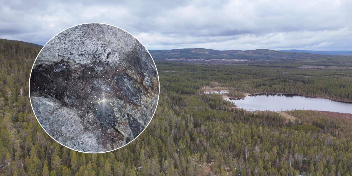 Svenska guldbolagets vd om rekordfyndet: ”Gåshud”