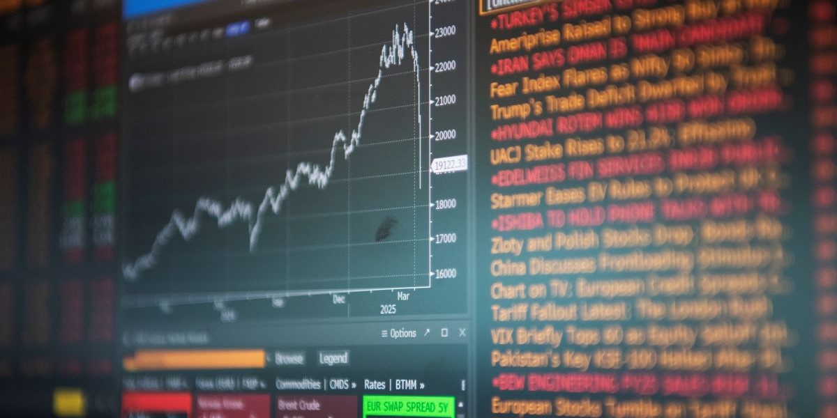 Blankarna jublar: Fullträff i aktiens rapportras