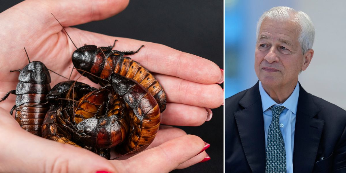 “Kackerlackor” kan knäcka marknaden – oroar bankerna