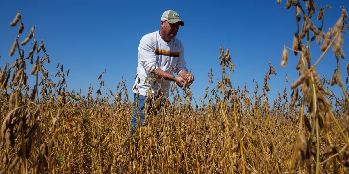 Hårt slag mot bönder tvingar Trump förhandla