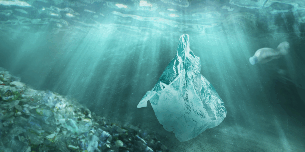 Skräp i havet är först och främst dåligt för havets flora och fauna. Men det är fortfarande överraskande att kustnära djur anpassat sig till ett liv på skräpet. (Bild: Canva)