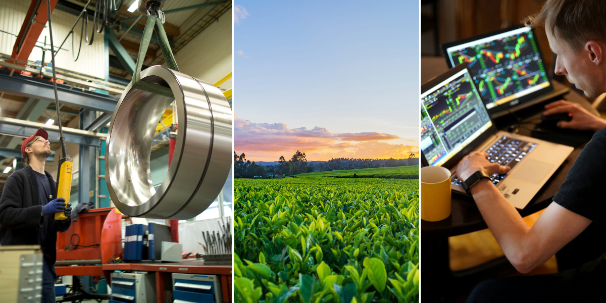 Fyndläge i gröna aktier – här är bolagen marknaden kan ha missat