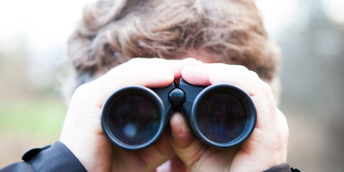 Analytiker hissar ”guldkorn” på lång sikt