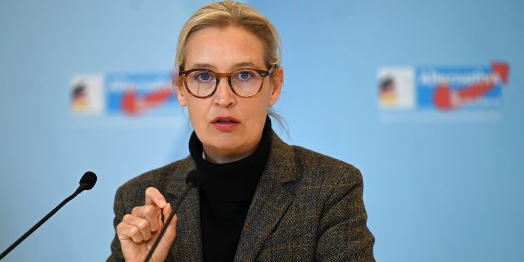 AfD:s parlamentariska gruppledare Alice Weidel. Hennes parti växer snabbt i Tyskland.
