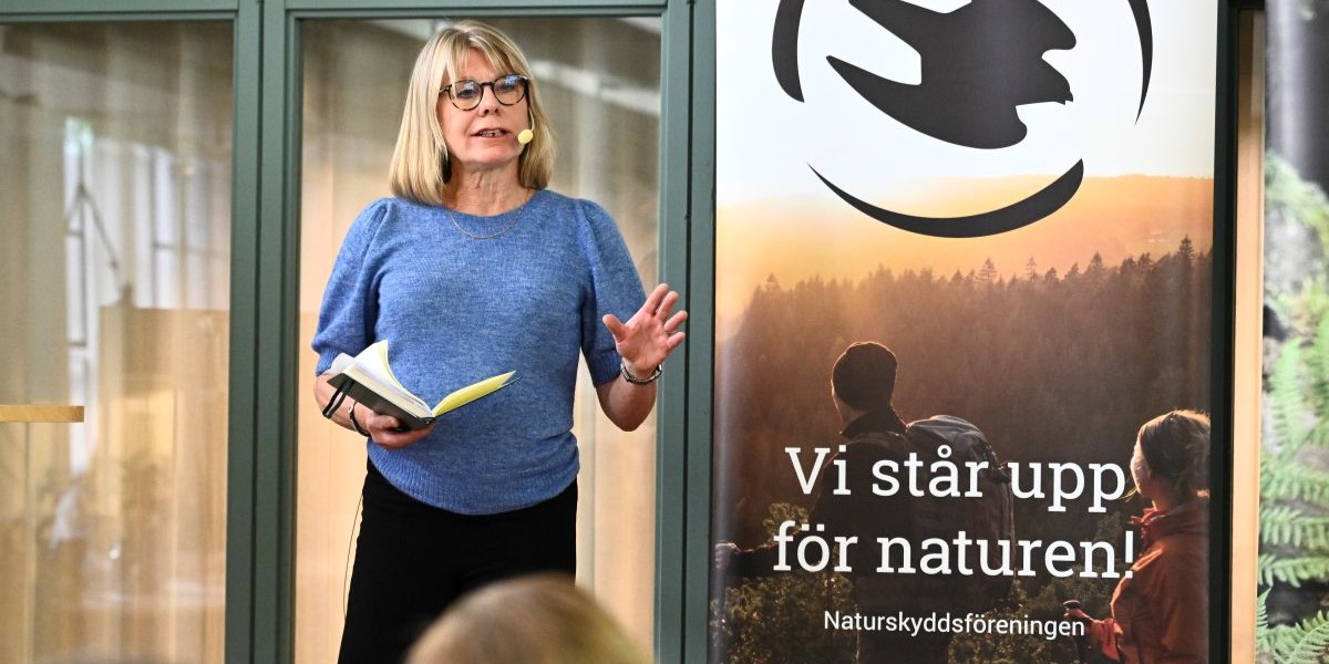 Gröna pengar till svartlistade projekt