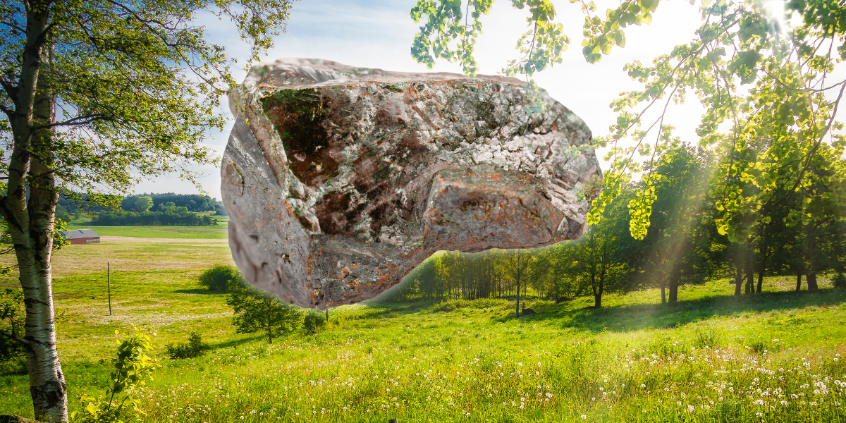 Sverige sitter på framtidens olja: “Europa vill minska beroendet”