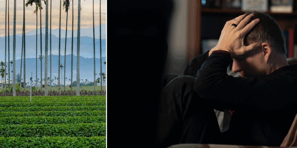 Personer lurades på miljoner