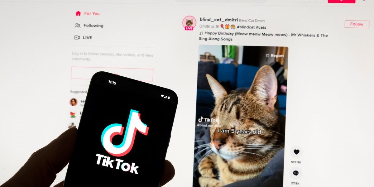 Analys av TikTok-videos senaste verktyget i jakten på nästa börsstjärna